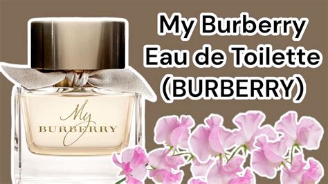 perfume burberry resenha|Burberry eau de toilette.